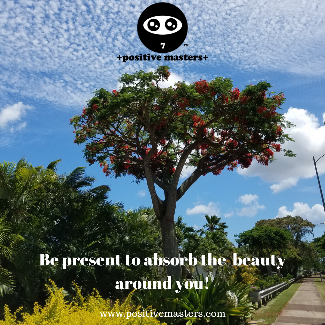 Be Present to Absorb the Beauty Around You!