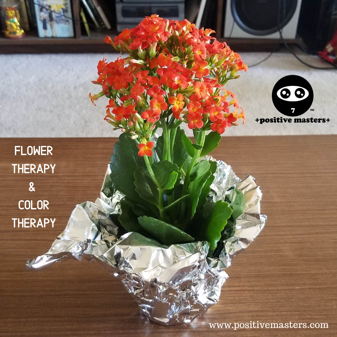 Flower Therapy & Color Therapy!